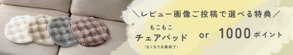レビュー画像フォーム
