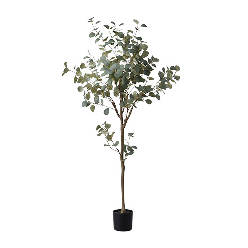 Rafilaの家具でコーディネート