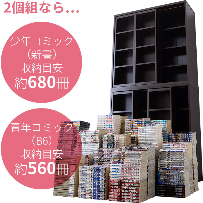 ダブルスライド書棚奥深タイプ900幅 2個セット｜ユニットシェルフ 家具